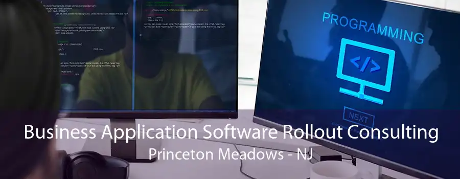 Business Application Software Rollout Consulting Princeton Meadows - NJ