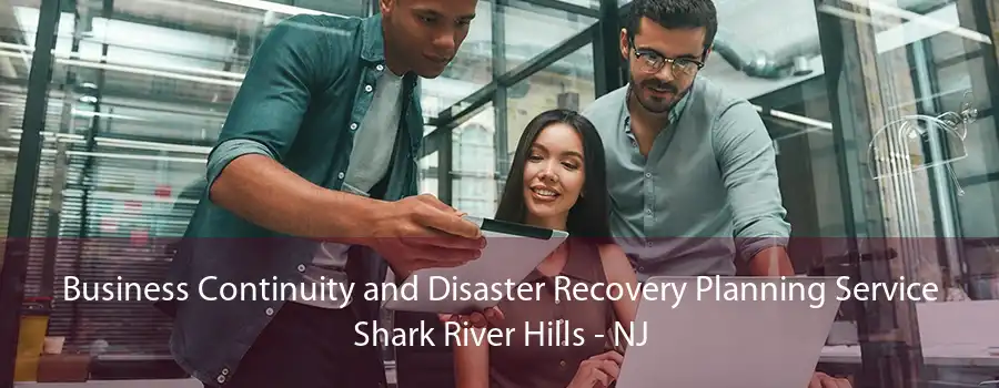 Business Continuity and Disaster Recovery Planning Service Shark River Hills - NJ