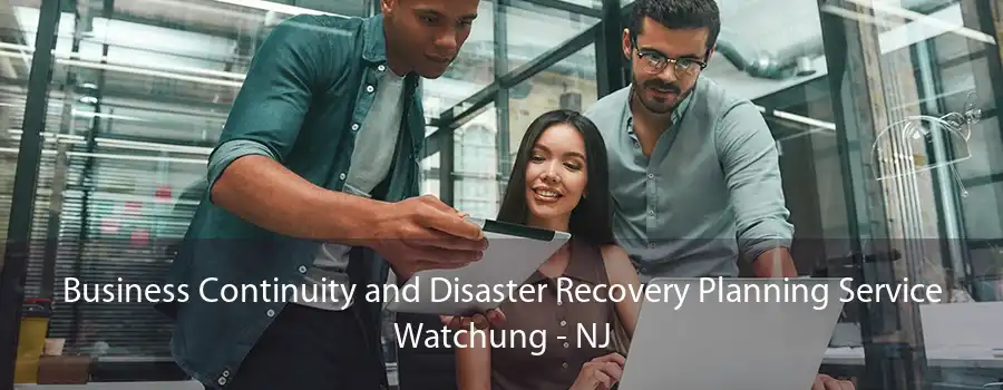 Business Continuity and Disaster Recovery Planning Service Watchung - NJ
