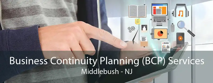 Business Continuity Planning (BCP) Services Middlebush - NJ