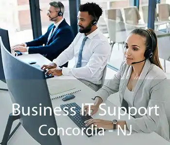 Business IT Support Concordia - NJ