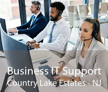 Business IT Support Country Lake Estates - NJ