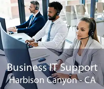 Business IT Support Harbison Canyon - CA