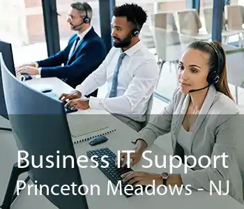 Business IT Support Princeton Meadows - NJ