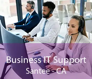Business IT Support Santee - CA