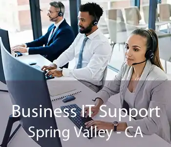 Business IT Support Spring Valley - CA