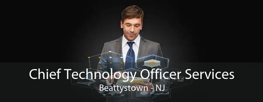 Chief Technology Officer Services Beattystown - NJ