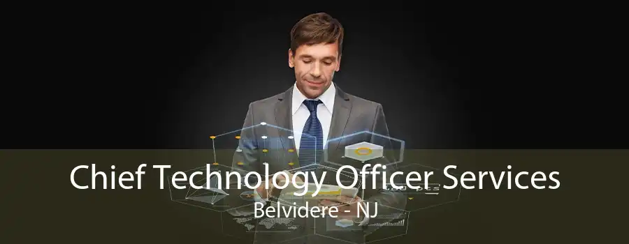 Chief Technology Officer Services Belvidere - NJ