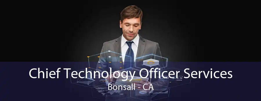 Chief Technology Officer Services Bonsall - CA