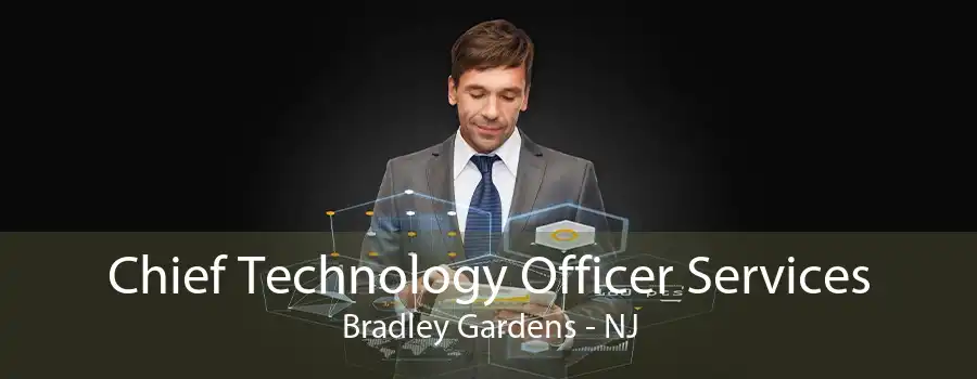 Chief Technology Officer Services Bradley Gardens - NJ