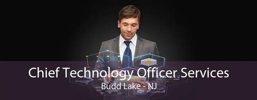 Chief Technology Officer Services Budd Lake - NJ