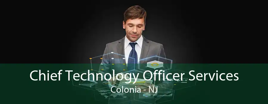 Chief Technology Officer Services Colonia - NJ