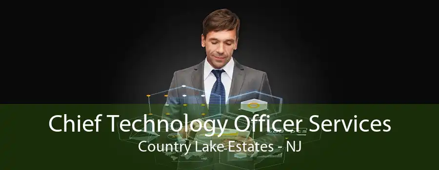 Chief Technology Officer Services Country Lake Estates - NJ