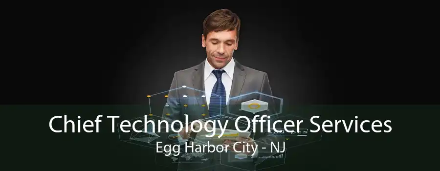 Chief Technology Officer Services Egg Harbor City - NJ