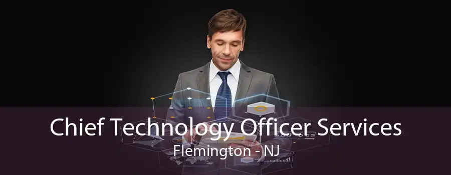 Chief Technology Officer Services Flemington - NJ