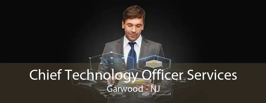 Chief Technology Officer Services Garwood - NJ