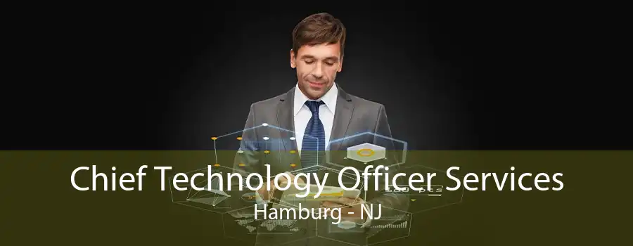 Chief Technology Officer Services Hamburg - NJ