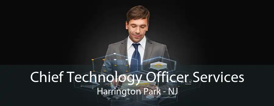 Chief Technology Officer Services Harrington Park - NJ