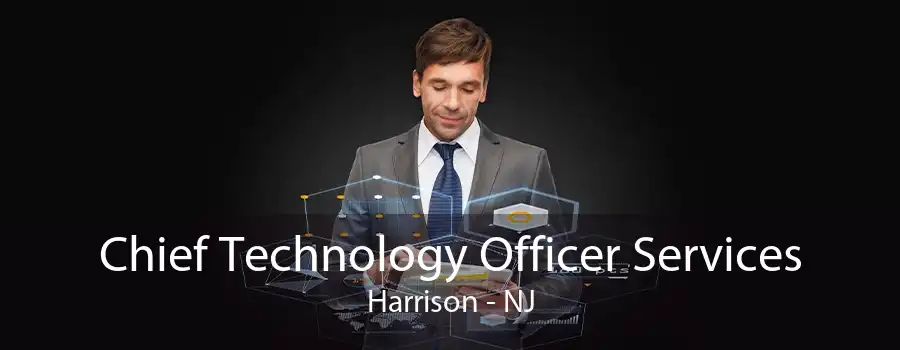 Chief Technology Officer Services Harrison - NJ