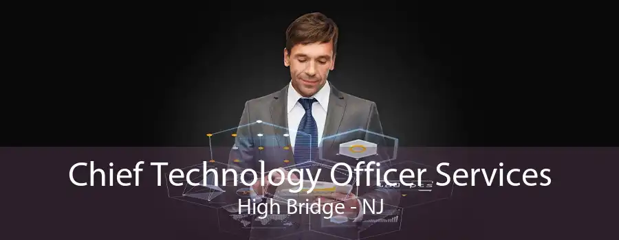 Chief Technology Officer Services High Bridge - NJ