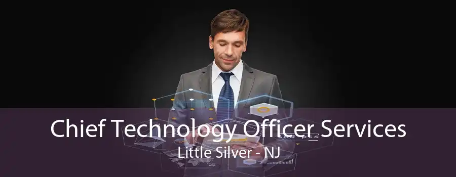 Chief Technology Officer Services Little Silver - NJ