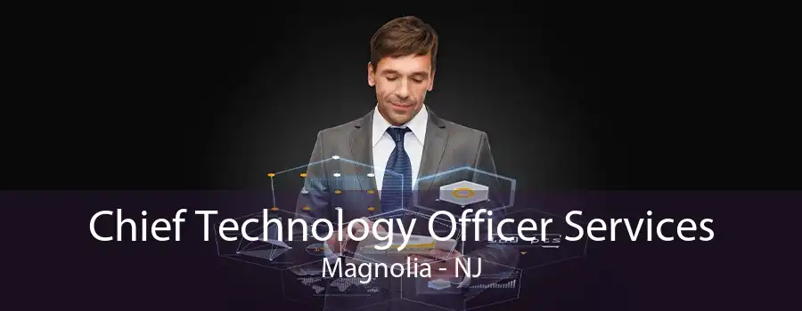 Chief Technology Officer Services Magnolia - NJ