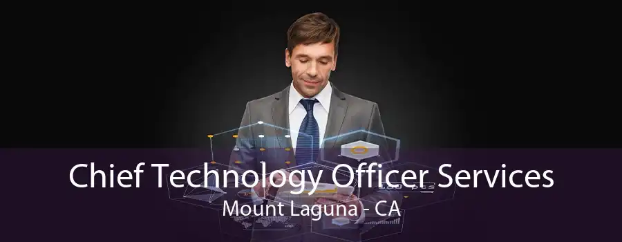 Chief Technology Officer Services Mount Laguna - CA