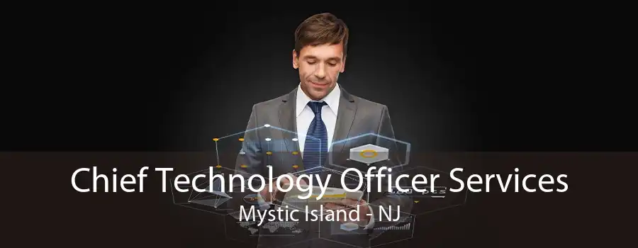 Chief Technology Officer Services Mystic Island - NJ