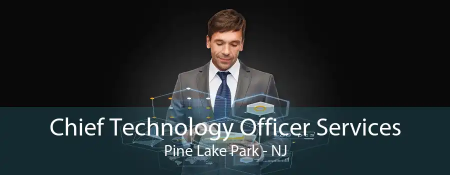 Chief Technology Officer Services Pine Lake Park - NJ