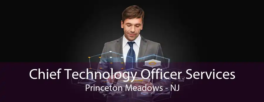 Chief Technology Officer Services Princeton Meadows - NJ