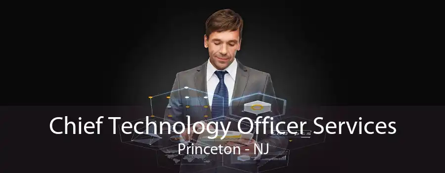 Chief Technology Officer Services Princeton - NJ