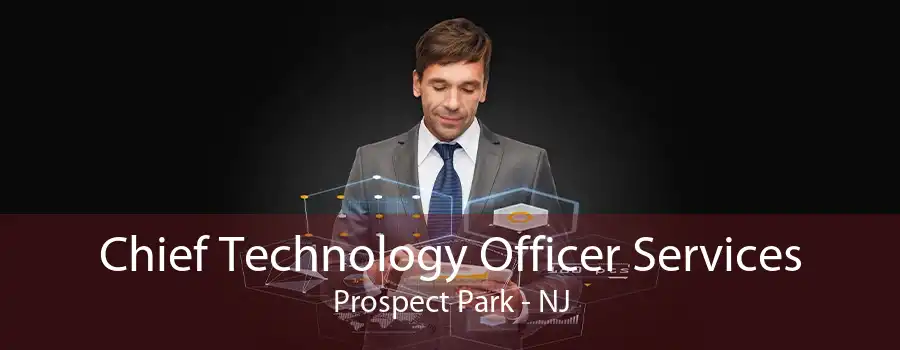 Chief Technology Officer Services Prospect Park - NJ