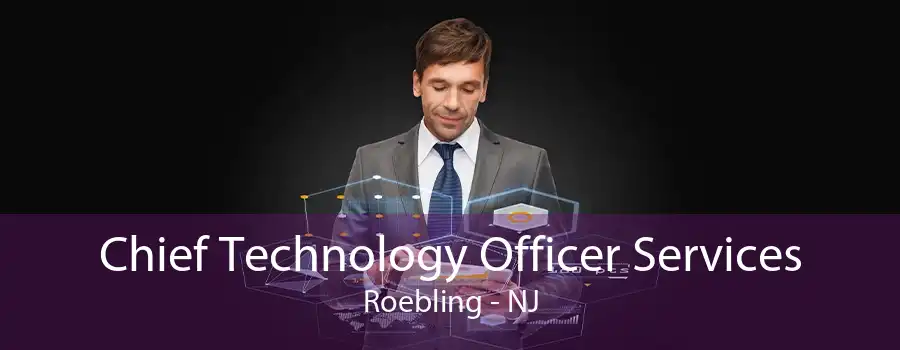 Chief Technology Officer Services Roebling - NJ