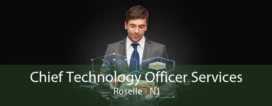 Chief Technology Officer Services Roselle - NJ