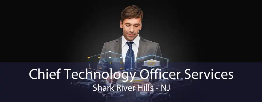 Chief Technology Officer Services Shark River Hills - NJ