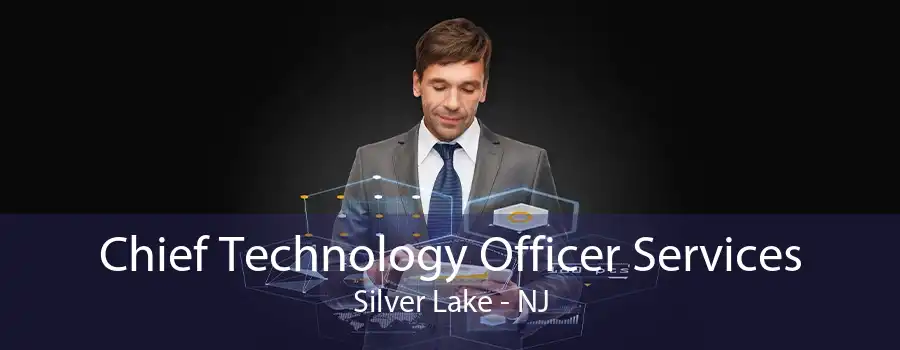 Chief Technology Officer Services Silver Lake - NJ