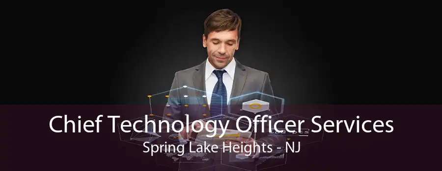 Chief Technology Officer Services Spring Lake Heights - NJ