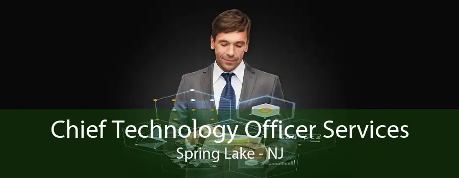 Chief Technology Officer Services Spring Lake - NJ