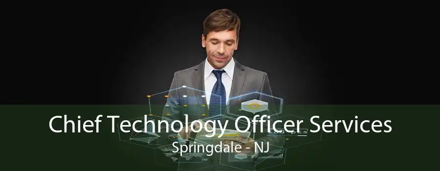 Chief Technology Officer Services Springdale - NJ