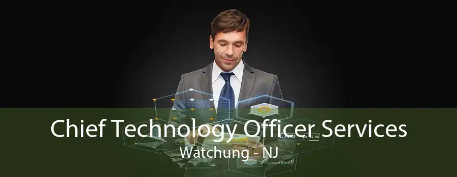 Chief Technology Officer Services Watchung - NJ