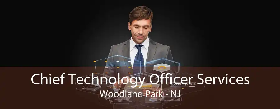 Chief Technology Officer Services Woodland Park - NJ