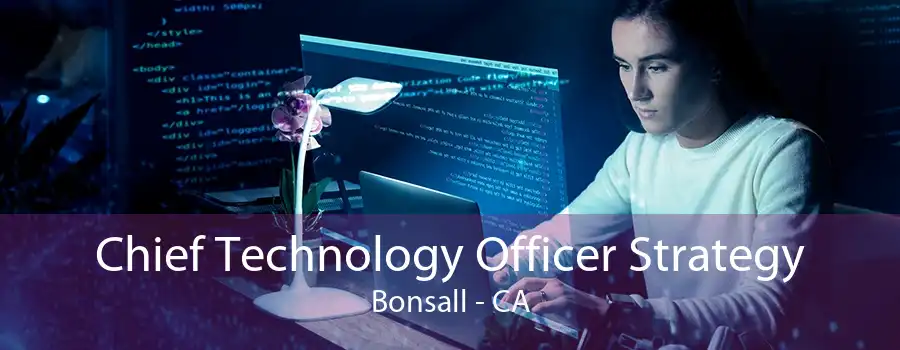 Chief Technology Officer Strategy Bonsall - CA