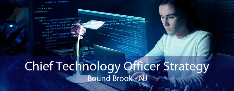 Chief Technology Officer Strategy Bound Brook - NJ