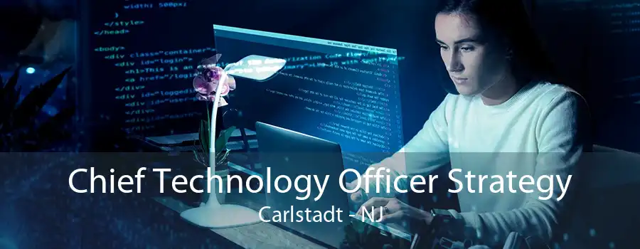 Chief Technology Officer Strategy Carlstadt - NJ