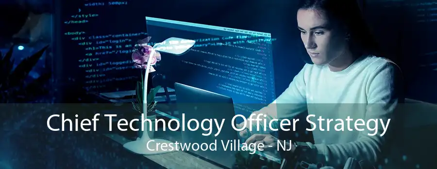 Chief Technology Officer Strategy Crestwood Village - NJ