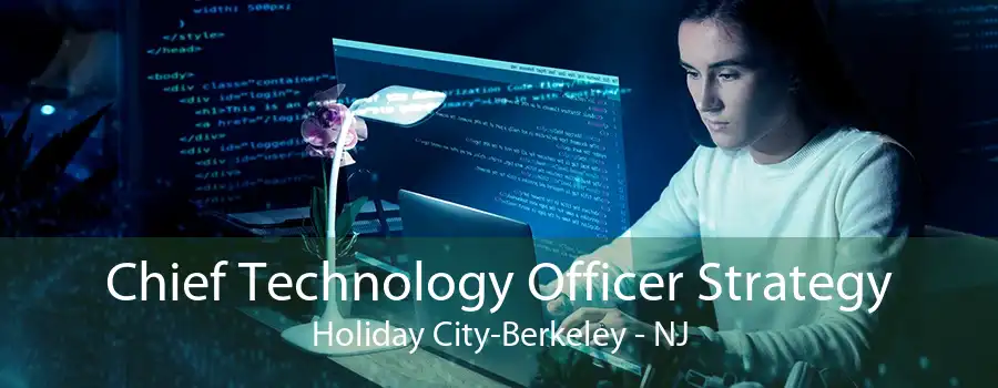 Chief Technology Officer Strategy Holiday City-Berkeley - NJ