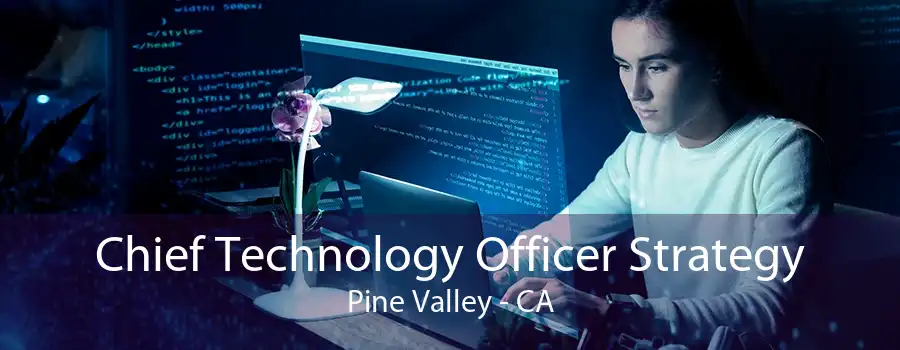 Chief Technology Officer Strategy Pine Valley - CA