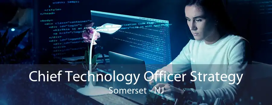 Chief Technology Officer Strategy Somerset - NJ