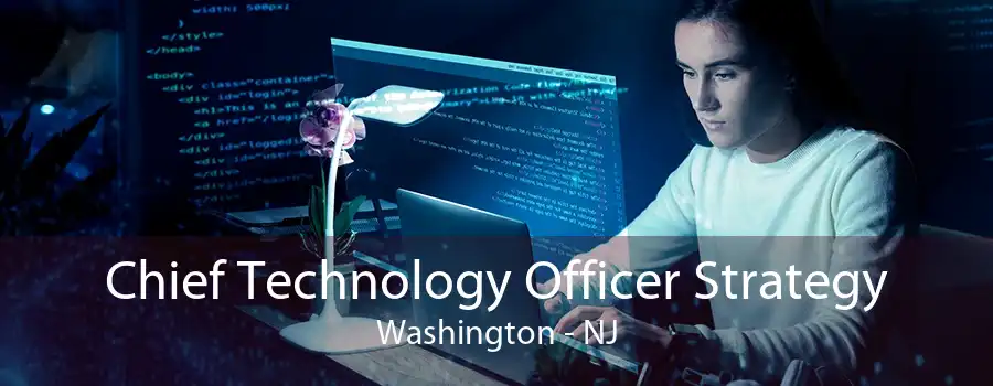 Chief Technology Officer Strategy Washington - NJ