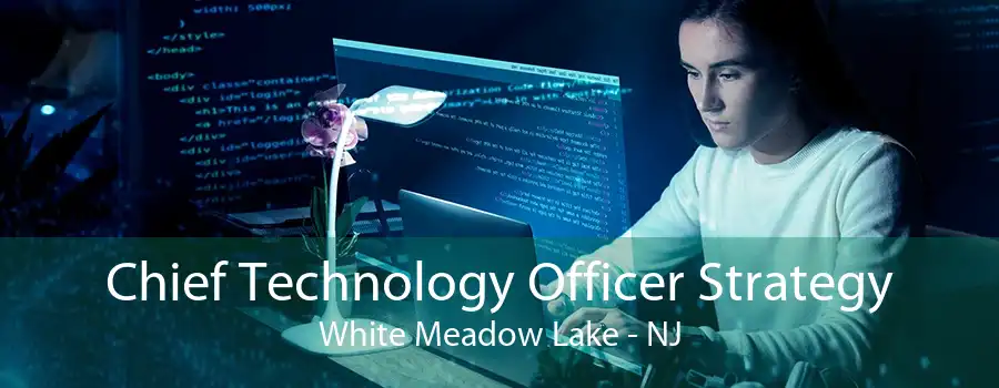 Chief Technology Officer Strategy White Meadow Lake - NJ